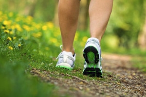 The Feet and the Gait Cycle